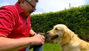 Ein starkes Team: Thomas Stoll mit Golden Retriever Baja. Ein starkes Team: Thomas Stoll mit Golden Retriever Baja.