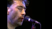 Auftritt von "Hubert von Goisern und die Original Alpinkatzen" bei "Alabama in Concert".
