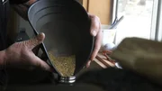Close up of doumitt pouring gold.