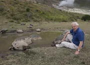 David Attenborough