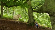 Während einer Pause im Wald nähert sich Gudrun (Sophie Ryder) ein freilaufendes Fjordpferd.