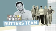Das Logo zu "Der Hundeprofi - Rütters Team".