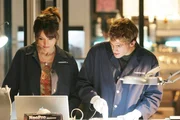 Wendy Simms (Liz Vassey) und Greg (Eric Szmanda) suchen mit Hochdruck nach verwertbaren Spuren, die sie zu dem Täter führen. Sie finden Drogenreste und Speichel auf einem Geldschein. Wendy identifiziert zwei DNA-Spuren. Wendy Simms (Liz Vassey) und Greg (Eric Szmanda) suchen mit Hochdruck nach verwertbaren Spuren, die sie zu dem Täter führen. Sie finden Drogenreste und Speichel auf einem Geldschein. Wendy identifiziert zwei DNA-Spuren.