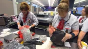 Zwei Frauen aus Vietnam wollen organisches Material importieren, das Australiens Biosicherheit bedroht. Zwei Frauen aus Vietnam wollen organisches Material importieren, das Australiens Biosicherheit bedroht.