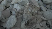 Die Baumeister von Caral legten bereits vor Jahrtausenden erdbebensichere Fundamente.