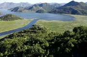 Riesige Wälder, große Moore und ruhige Seen: ein wahres Naturparadies für zahlreiche Tierarten