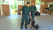 Außeneinsatz für Artenschutzspürhund Uno und Zollamtsinspektor Guido Nickl. Der Ausbilder hat in einem ausrangierten Fahrzeug eine Kaviardose deponiert, die der Labrador-Rüde finden soll. Außeneinsatz für Artenschutzspürhund Uno und Zollamtsinspektor Guido Nickl. Der Ausbilder hat in einem ausrangierten Fahrzeug eine Kaviardose deponiert, die der Labrador-Rüde finden soll.