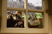 Pferd und Wolle versuchen herauszubekommen, was Finchen und Günni im Schilde führen...