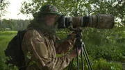 Jens-Werner Dettmann, the hobby nature photographer gets a special butterfly in front of his lens.