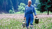 Peter (Peter Lustig) will sich wachsendes Gras aufs Bauwagendach packen - so bleibt es im Sommer angenehm kühl und im Winter kuschelig warm. "Aber wie soll das gehen?", grübelt der Tüftler.