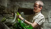 Schlangen hat der Leiter des Tropen-Aquariums Dr. Guido Westhoff schon in Australien an der Universität in Queensland erforscht.