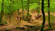 Rund 300.000 Kilometer Wanderwege ziehen sich durch unser Land. Aber welche Strecke lohnt sich besonders?