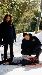 Pauls (Nick Di Brizzi Jr.) M&ouml;rder hat Spuren im Schnee hinterlassen. Eine Fundgrube f&uuml;r die Ermittler Bonasera (Melina Kanakaredes) und Taylor (Gary Sinise).