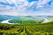 Die Mosel