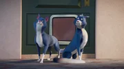 Kater Prinz hat einen Doppelgänger, der sich bei ihm eingeschlichen hat. Die Coop Troop soll herausfinden, welcher von beiden Katern der echte Prinz ist.