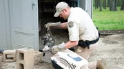 Shot of Fish and Game Officer Daylan Damron on his way to relocate a opossum.