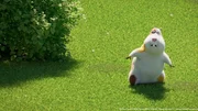 Ängstlich läuft Hamster Albert durch den Garten, denn er war noch nie draußen.
