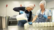 Frank Buchholz (l) letztes Ziel ist der Milchviehbetrieb "Greidelân" in Britswert. Hier verarbeiten Annamarie Eldering (r) und ihr Mann Jehannes die Milch ihrer Holstein-Rinder noch rein handwerklich. Die kräuterreichen Weiden und der natürliche Fettgehalt der verarbeiteten Milch sorgen für ein intensives Aroma ihrer Molkereiprodukte.