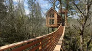 Thrill 'n' Chill Treehouse