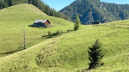 Blahbergalm, Ober&ouml;sterreich.