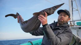 Forrest Galante holding a deep sea species of shark