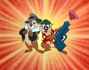 Die beiden Backenhörnchen Chip und Chap arbeiten für eine Geheimorganisation, die gegen das Verbrechen kämpft und rund um die Welt mysteriöse Geschehnisse aufklärt.