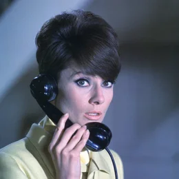 Nicole (Audrey Hepburn) setzt alles daran, dass ihr Vater nicht als Kunstf&auml;lscher entlarvt wird: Sie engagiert sogar einen Meisterdieb, um ein gef&auml;lschtes Gem&auml;lde aus dem Pariser Museum zu stehlen, ehe der Betrug auffliegt.
