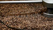 Coffee beans in roasting machine.