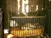 Die Untersuchung der Brandstelle ergibt einen furchtbaren Verdacht: Hat die Mutter das Feuer absichtlich gelegt und so ihre Kinder umgebracht? Die Untersuchung der Brandstelle ergibt einen furchtbaren Verdacht: Hat die Mutter das Feuer absichtlich gelegt und so ihre Kinder umgebracht?