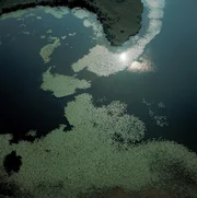 Das Salzkammergut und der Norden &Ouml;sterreichs bilden den kr&ouml;nenden Abschluss von Franz Klammers Flugreise &uuml;ber &Ouml;sterreich. Die Off-Stimme spricht Peter Simonischek.