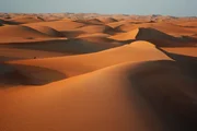 Die Sahara ist eine der trockensten Gegenden der Erde. Trotzdem hat es hier einst Wasser gegeben. Flüsse und Bäche durchzogen die Landschaft und sorgten für üppiges Grün.