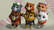 Hinter, l-r: Cat Rocky, Cat Rubble, Cat Sky. Vorne, l-r: Cat Zuma, Cat Chase, Cat Marshall Hinter, l-r: Cat Rocky, Cat Rubble, Cat Sky. Vorne, l-r: Cat Zuma, Cat Chase, Cat Marshall