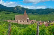 Das Elsass ist weltberühmt für seine Weine.