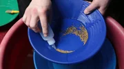 Panning gold. Panning gold.