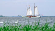 NDR Fernsehen MARETV, 'Usedom - Seeadler, Sonne und Strand.' Der über 100 Jahre alte Segelschoner „Weisse Düne“ fährt Törns auf dem Usedomer Achterwasser.