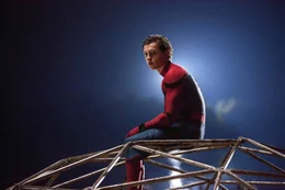 Spider-Man (Tom Holland)