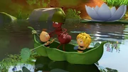 Paul, Willi und Maja auf Erkundungsfahrt.