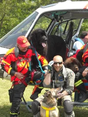 Crew of chopper and dog rescue.