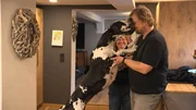 Doggen-Rudel bei Familie Fisch-Schölzhorn