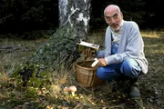 Peter (Peter Lustig) findet an der Birke einige Pilze.
