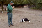 ARD/NDR LEOPARD, SEEBÄR & CO., FOLGE 153. Volker Friedrich hat mal wieder seinen Hund Flatow mitgebracht. ARD/NDR LEOPARD, SEEBÄR & CO., FOLGE 153. Volker Friedrich hat mal wieder seinen Hund Flatow mitgebracht.