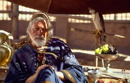 Maximus war einst ein gefeierter Feldherr unter Kaiser Marcus Aurelius (Richard Harris). Der Kaiser hatte gro&szlig;e Pl&auml;ne und wollte ihn, den er mehr liebte als seinen Sohn Commudus, zu seinem Nachfolger ernennen. Doch dann geschieht etwas v&ouml;llig Unerwartetes und die Karten werden neu gemischt ...
