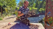 Vom Hochsommer geht’s oft direkt in den Herbst und das stellenweise mit Unmengen an Regen. Was das für die Pflanzen heißt und wie man den Garten wieder fit bekommt – Karl Ploberger (Bild) weiß, was zu tun ist.