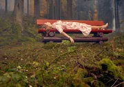 Sauerland, im Herbst 1995: Auf dem Wilzenberg findet ein Spazierg&auml;nger die Leiche der Abiturientin Sonja Risse (Johanna Hens). Dass der M&ouml;rder eine Spieluhr mit dem Schlaflied &bdquo;Hush Little Baby&ldquo; am Tatort hinterl&auml;sst, f&uuml;hrt jedoch nicht zur Aufkl&auml;rung.