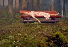 Sauerland, im Herbst 1995: Auf dem Wilzenberg findet ein Spazierg&auml;nger die Leiche der Abiturientin Sonja Risse (Johanna Hens). Dass der M&ouml;rder eine Spieluhr mit dem Schlaflied &bdquo;Hush Little Baby&ldquo; am Tatort hinterl&auml;sst, f&uuml;hrt jedoch nicht zur Aufkl&auml;rung.