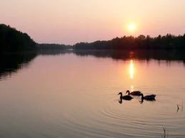 Wo einst hohe Gebirge aus den Urmeeren emporragten und heute eine sanfte, h&uuml;gelige Landschaft das n&ouml;rdliche Waldviertel pr&auml;gen, entspringt ein Fluss, der bis zu seiner M&uuml;ndung in die Donau eine faszinierende Vielfalt an geologischen Gegebenheiten durchflie&szlig;t: der Kamp. Es ist die Lebensader f&uuml;r eine vielf&auml;ltige Flora und Fauna, aber auch f&uuml;r die Menschen, die hier im Lauf der Zeit eine spezifische Lebenskultur entwickelt haben. Der Film verfolgt den Fluss im Wandel der Jahreszeiten - eine spannende Reise durch ein faszinierendes Tal und seine Geschichte.