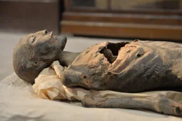 Die Mumie der sogenannten Younger Lady k&ouml;nnte die Mutter von Tutanchamun gewesen sein.