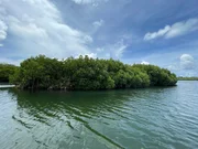 Auf einer kleinen Mangroveninsel im Nordosten der Insel Mauritius soll nach Daniel Kriegs Ansicht der Schatz des Piraten La Buse vergraben worden sein.