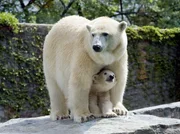 Zoogeschichten aus Stuttgart