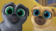 L-R: Bingo (voiced by Issac Ryan Brown), Rolly (voiced by Sam Lavagnino)